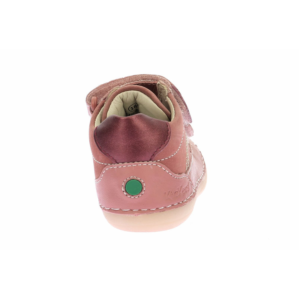 Kickers Sonao Rose