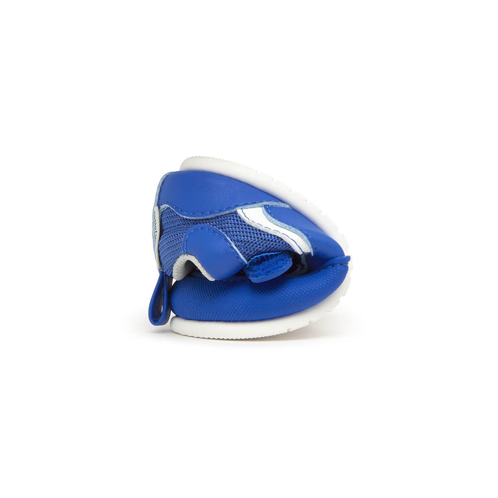 Zapato Feroz Féroces Biar Azul Royal