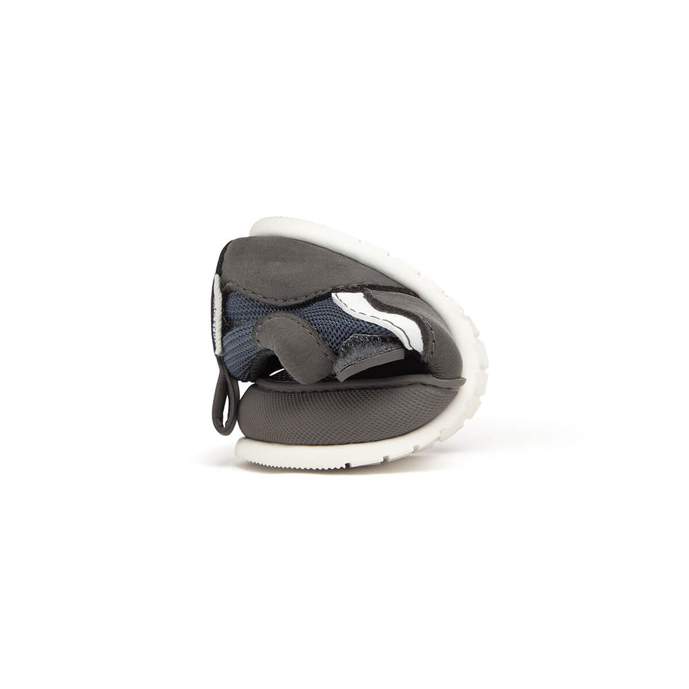 Zapato Feroz Biar Gris