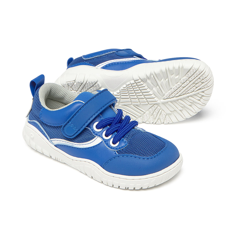 Zapato Feroz Rockers Biar Azul Royal