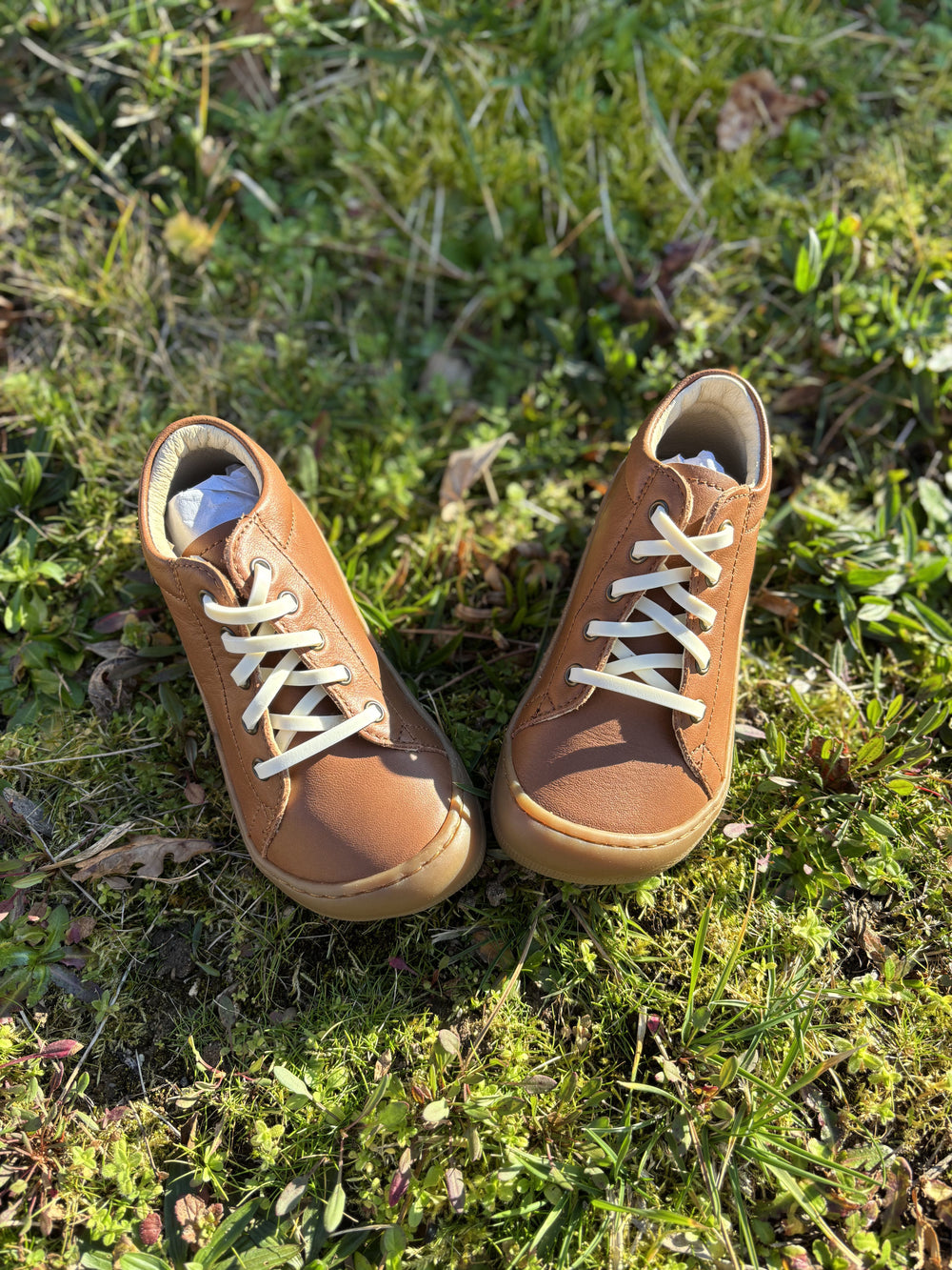Gorilla Cordones Elásticos Finos Vainilla