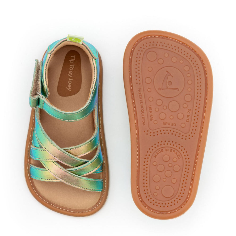 Tip Toey Joey primeros pasos Criss Cross boreal