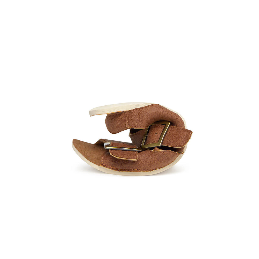 Zapato Feroz Adulte Freekers Saler Nut Microfibra Serraje
