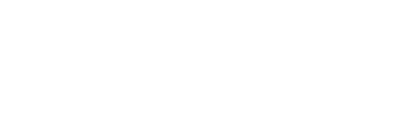 Logo Gorilla Lacets